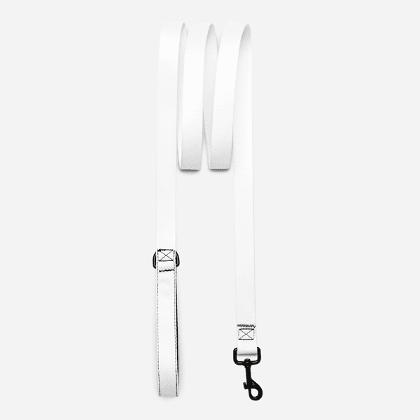 Pet Leash