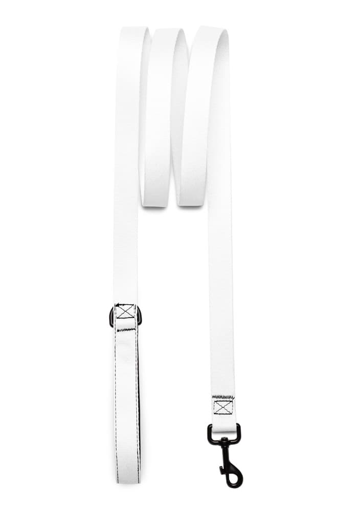 Pet Leash in White