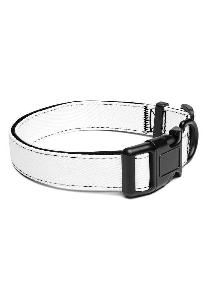 Pet Collar in White