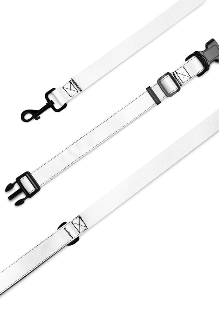 Pet Collar & Leash in White