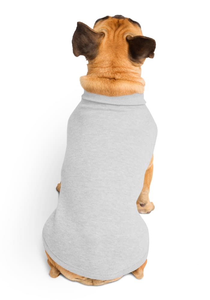 Knitted Pet Sweater in Custom